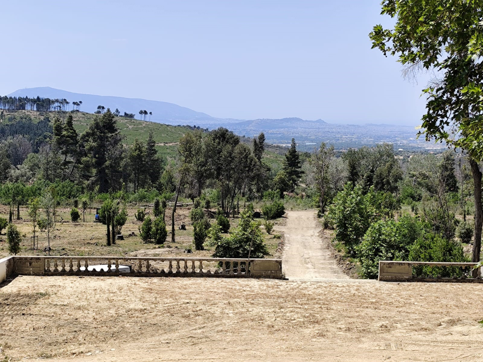 Πέντε «μνηστήρες» για το Κτήμα Τατοΐου