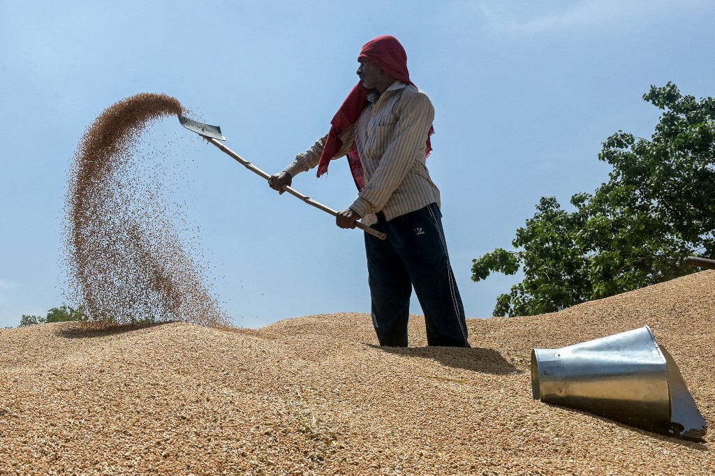 Οι αγορές τροφίμων σε συναγερμό: Το σιτάρι «καίγεται» από την ξηρασία