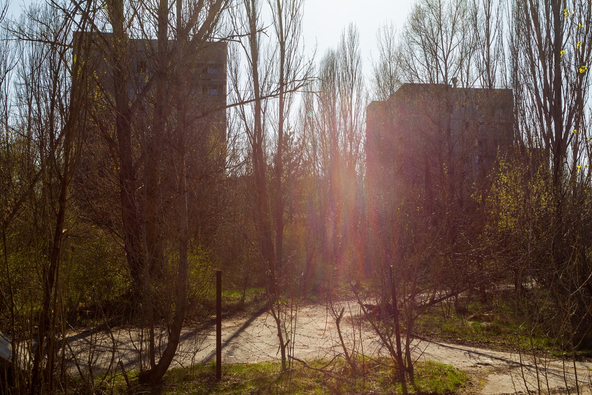Από πυρηνικός εφιάλτης σε οικολογικό «θαύμα»: Η νέα ζωή στο Τσερνόμπιλ