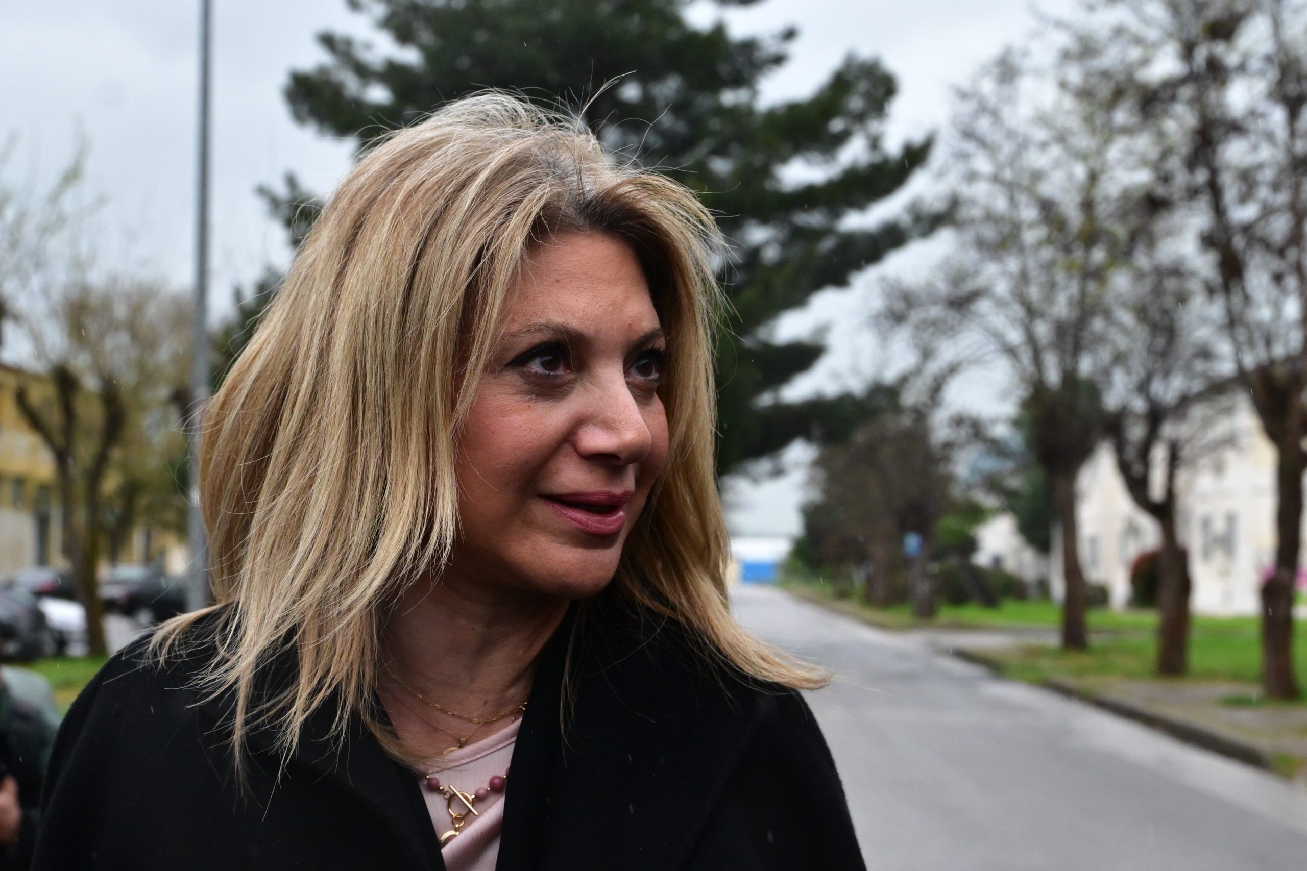 Η Μαρία Καρυστιανού «ξεκινάει» για κόμμα – Η ανάρτησή της