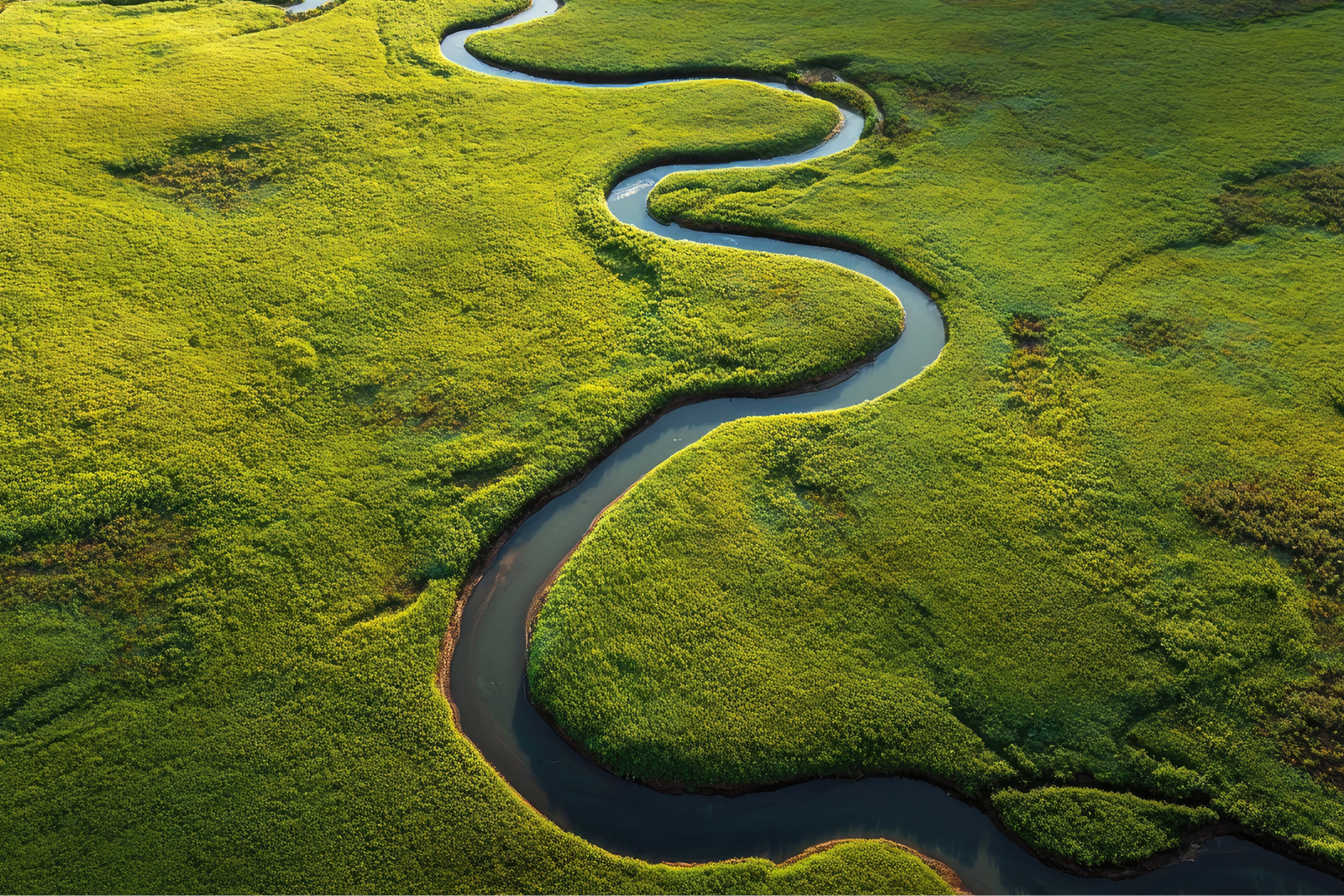 Earth Day 2026: Μια υπενθύμιση για ουσιαστική δράση