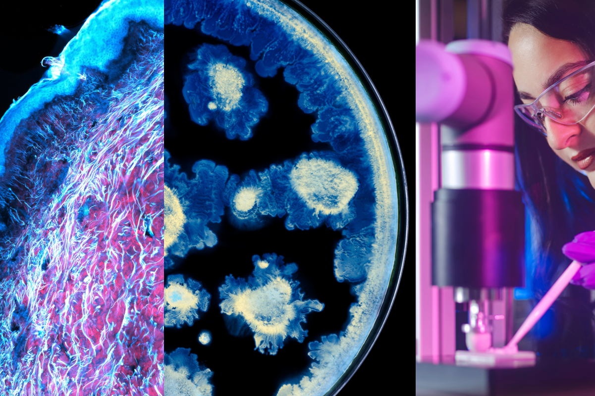 L’Oreal-Institut Pasteur: Ανακοινώνουν συνεργασία για την προαγωγή της επιστήμης της υγείας της επιδερμίδας