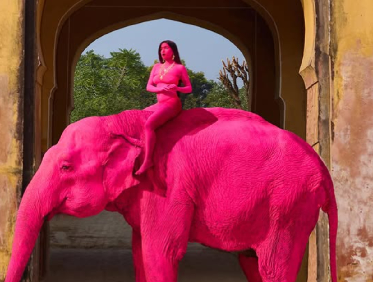 Οργή στην Ινδία: Έβαψαν ελέφαντα ροζ για φωτογράφιση