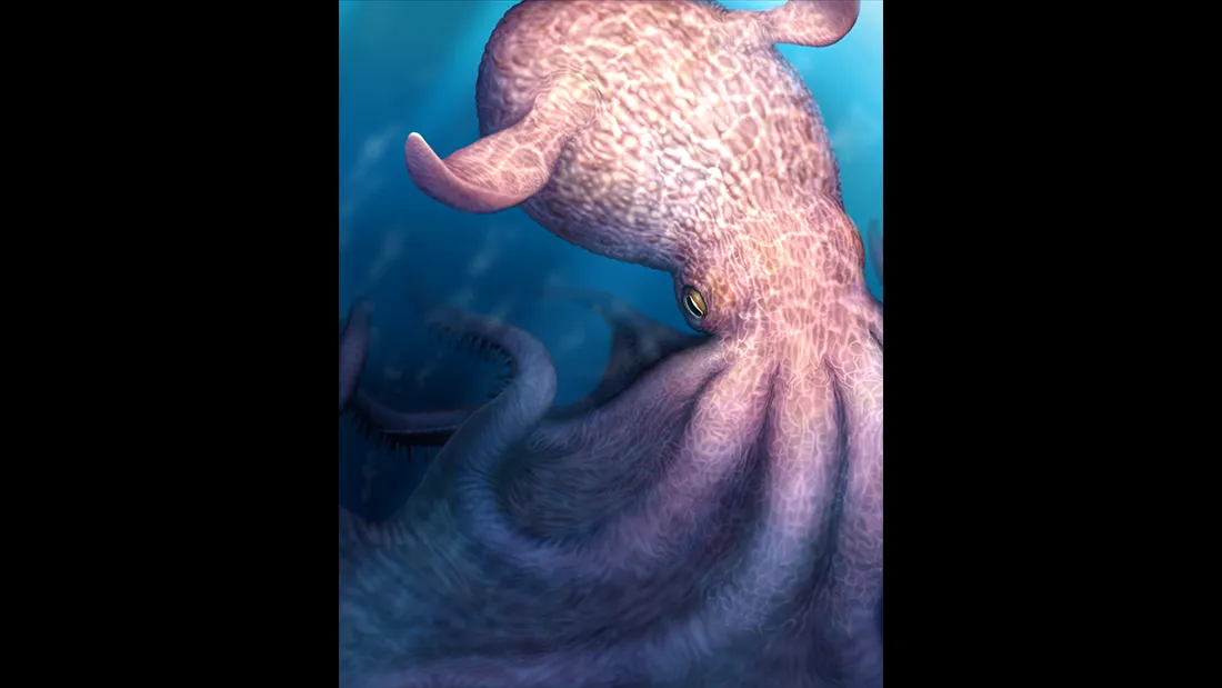 Ανακαλύφθηκε το αρχαίο «Κράκεν» – Το γιγαντιάιο χταπόδι που κυριαρχούσε στη θάλασσα πριν από 85 εκατ. χρόνια