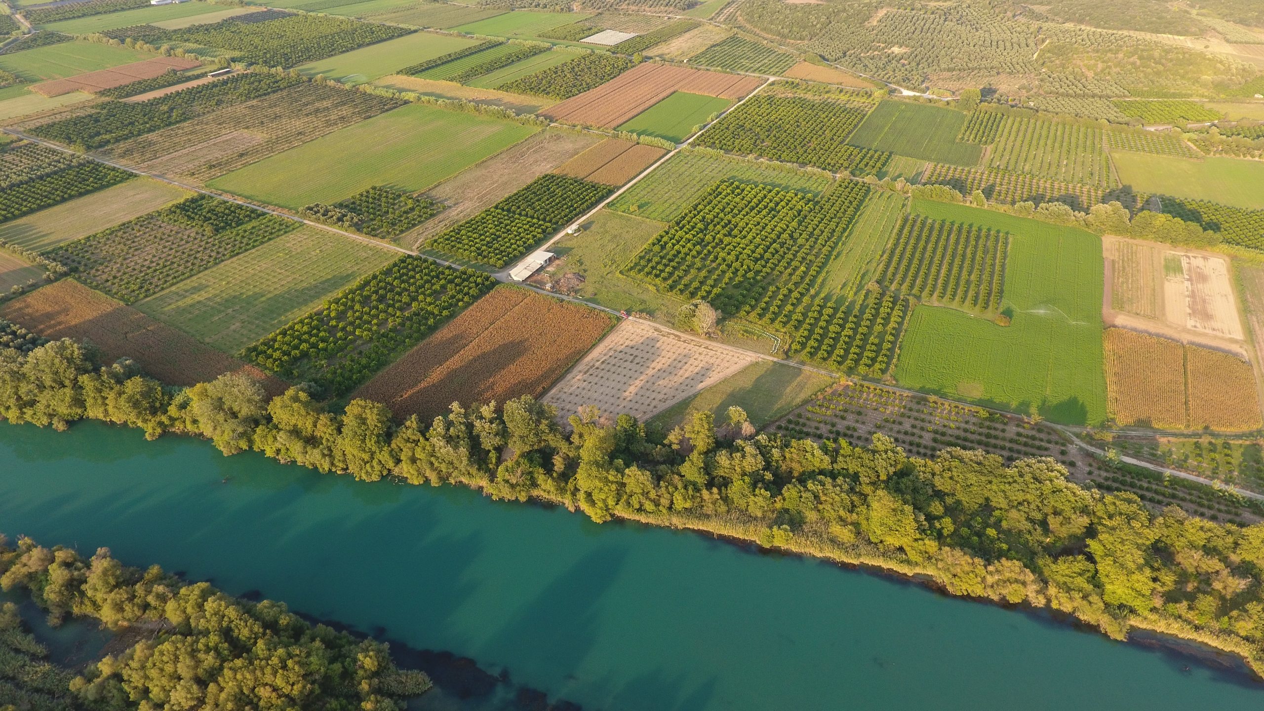 Αγροτικές ενισχύσεις: 202 εκατ. ευρώ σε 128.000 δικαιούχους – Εκτεταμένοι έλεγχοι από την ΑΑΔΕ