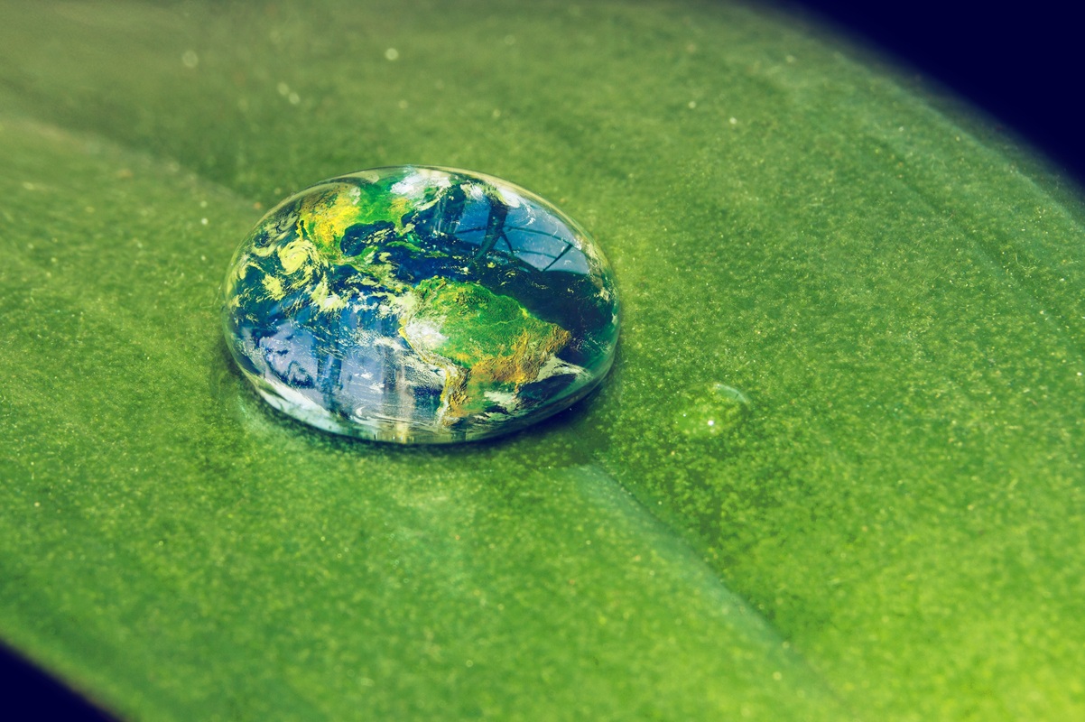 Στοίχημα στην καταστροφή: Όταν η κλιματική κρίση γίνεται αγορά