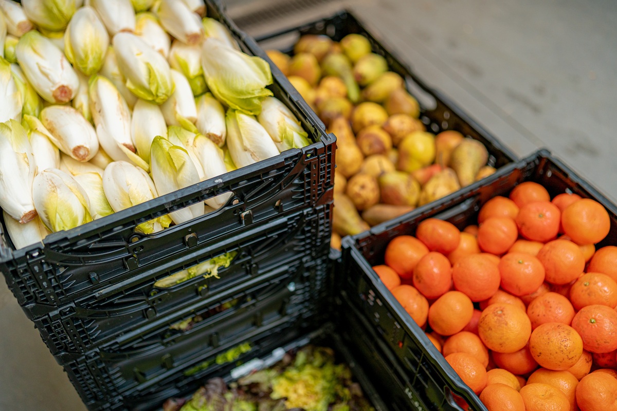 FAO: Κίνδυνος ελλείψεων τροφίμων αν συνεχιστεί η κρίση στον Ορμούζ