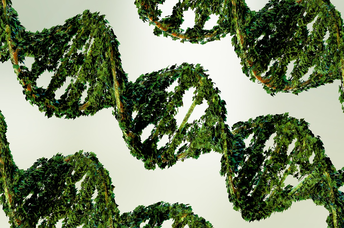 Κλιματική αλλαγή: Οι επιπτώσεις που έχει στα γονίδια σε βάθος γενεών