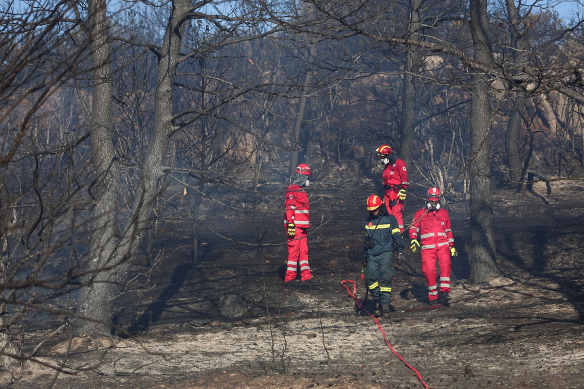 Έναρξη αντιπυρικής περιόδου: Οι 4 αυστηρές απαγορεύσεις – Ποια είναι τα τσουχτερά πρόστιμα που προβλέπονται