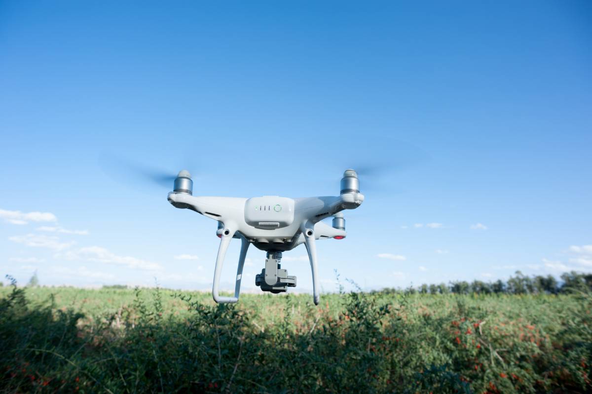 Από τη NASA στην αναδάσωση: Drones «σπέρνουν» 40 εκατ. δέντρα τον χρόνο σε Αμαζόνιο και Καλιφόρνια
