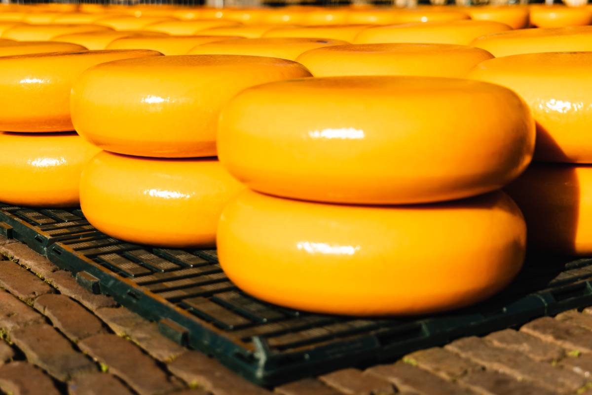 Η «τράπεζα τυριού» της Ιταλίας: Πώς το Parmigiano Reggiano λειτουργεί ως εγγύηση δανείων αξίας εκατοντάδων εκατομμυρίων