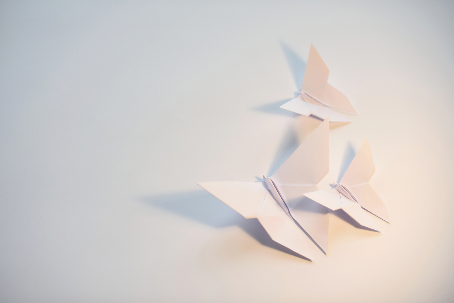 Πώς η αγάπη ενός 18χρονου για το origami του χάρισε βραβείο 100.000 δολαρίων