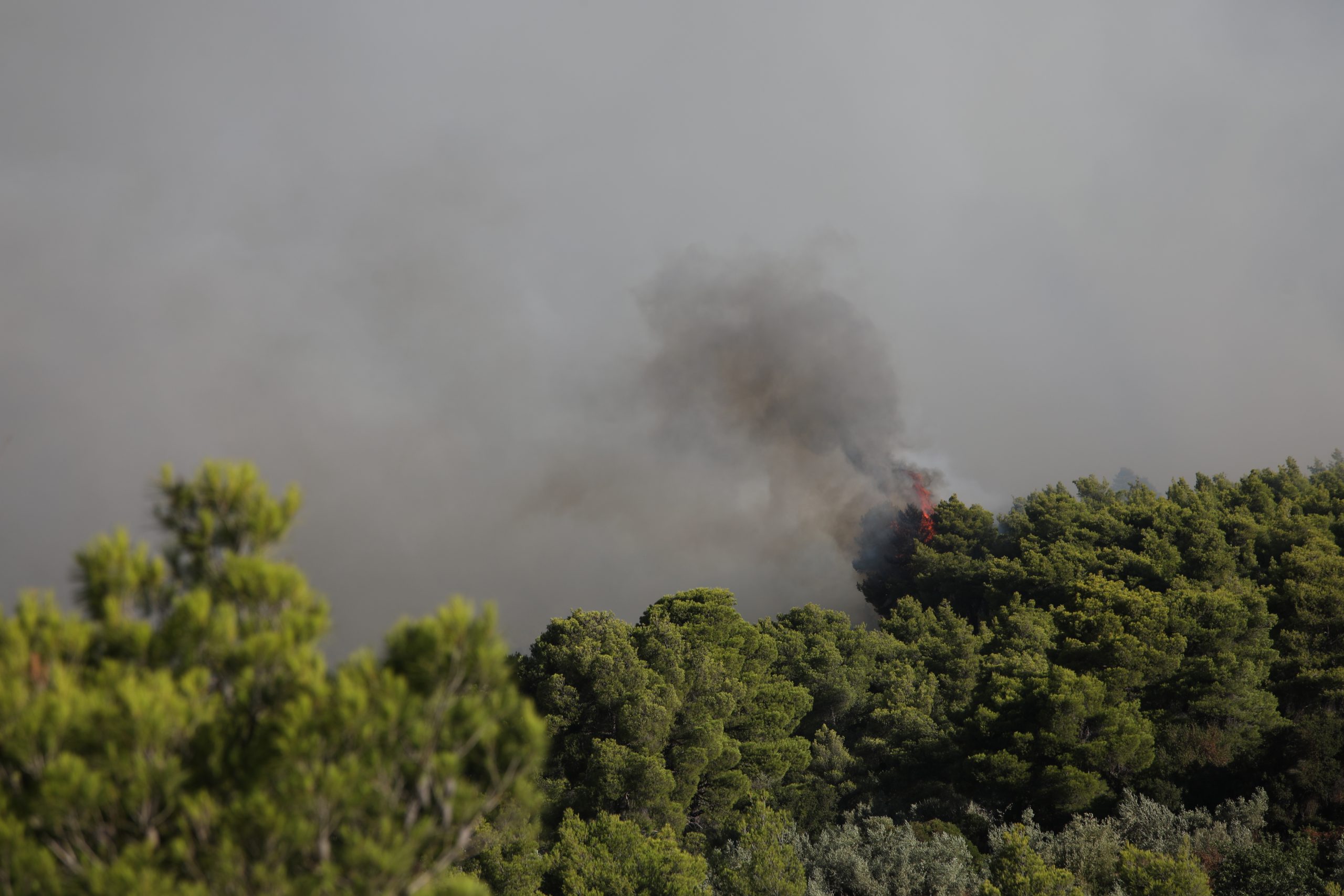 Καιρός: Θυελλώδεις άνεμοι έως 9 μποφόρ – Καμπανάκι για πολύ υψηλό κίνδυνο πυρκαγιάς