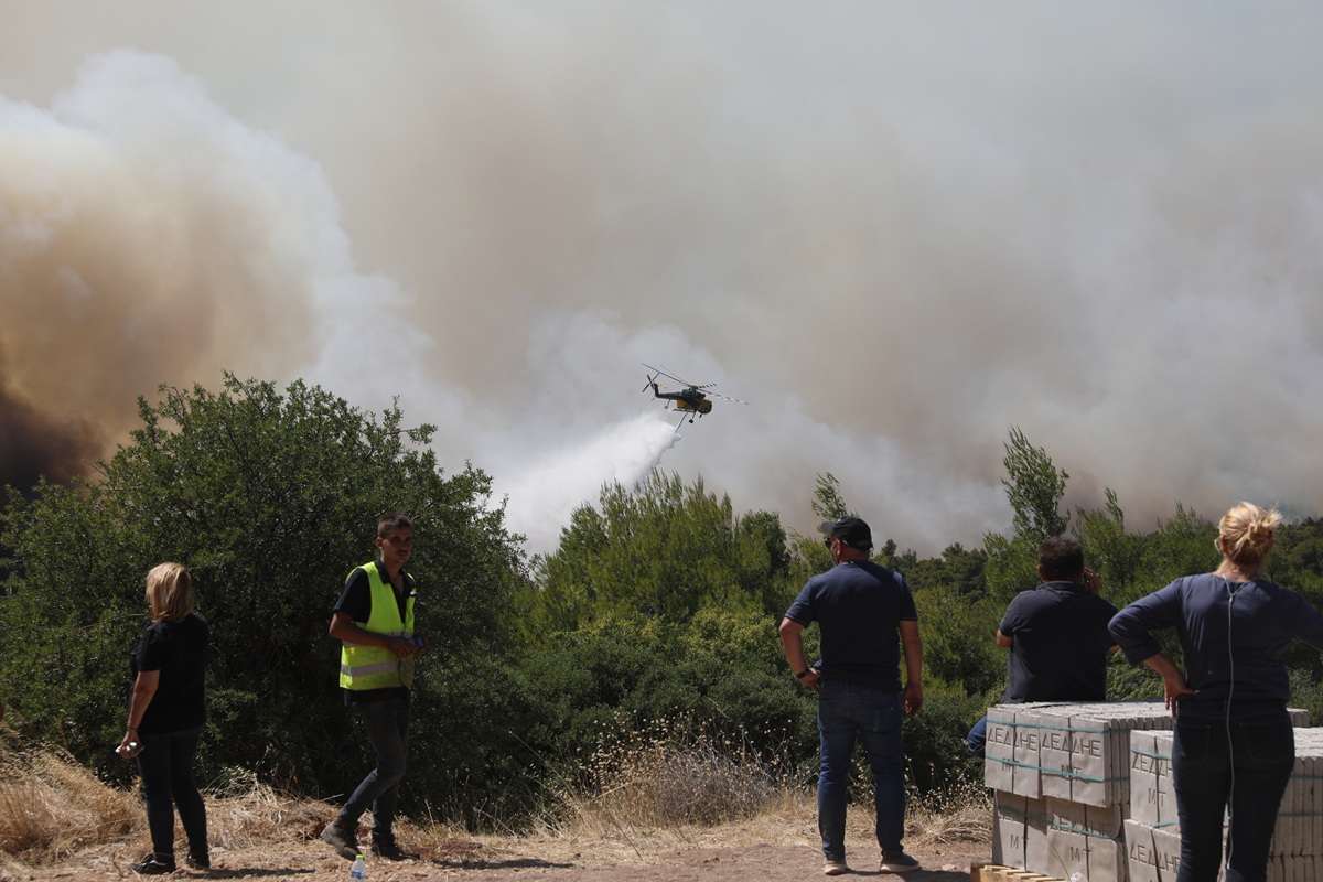 Κεφαλονιά: Συνελήφθη 44χρονος για εμπρησμό από πρόθεση – Είχε καταδικαστεί ξανά
