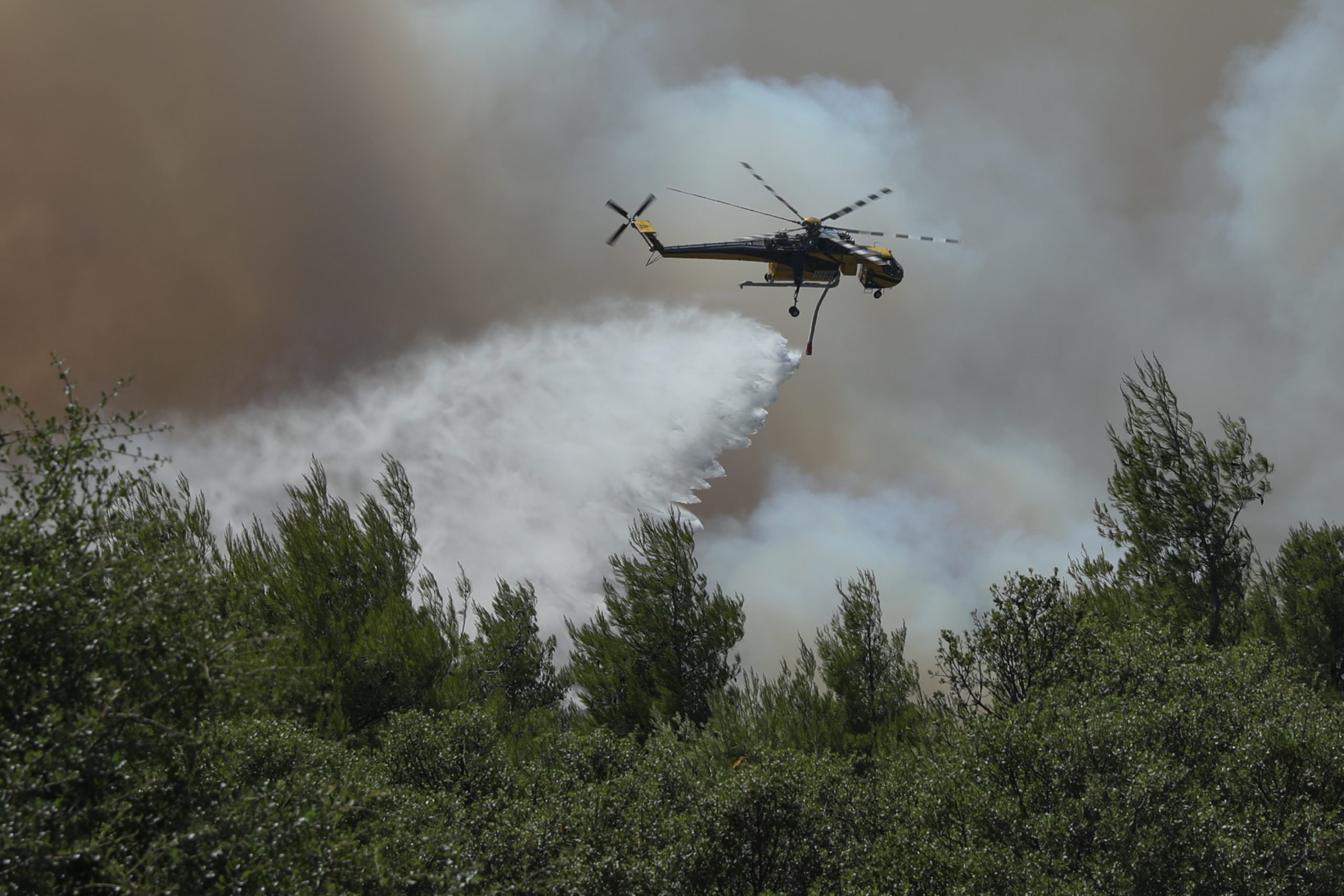 Φωτιά στη Χαλκιδική: Μεγάλη επιχείρηση κατάσβεσης – 4 μηνύματα 112 για εκκενώσεις