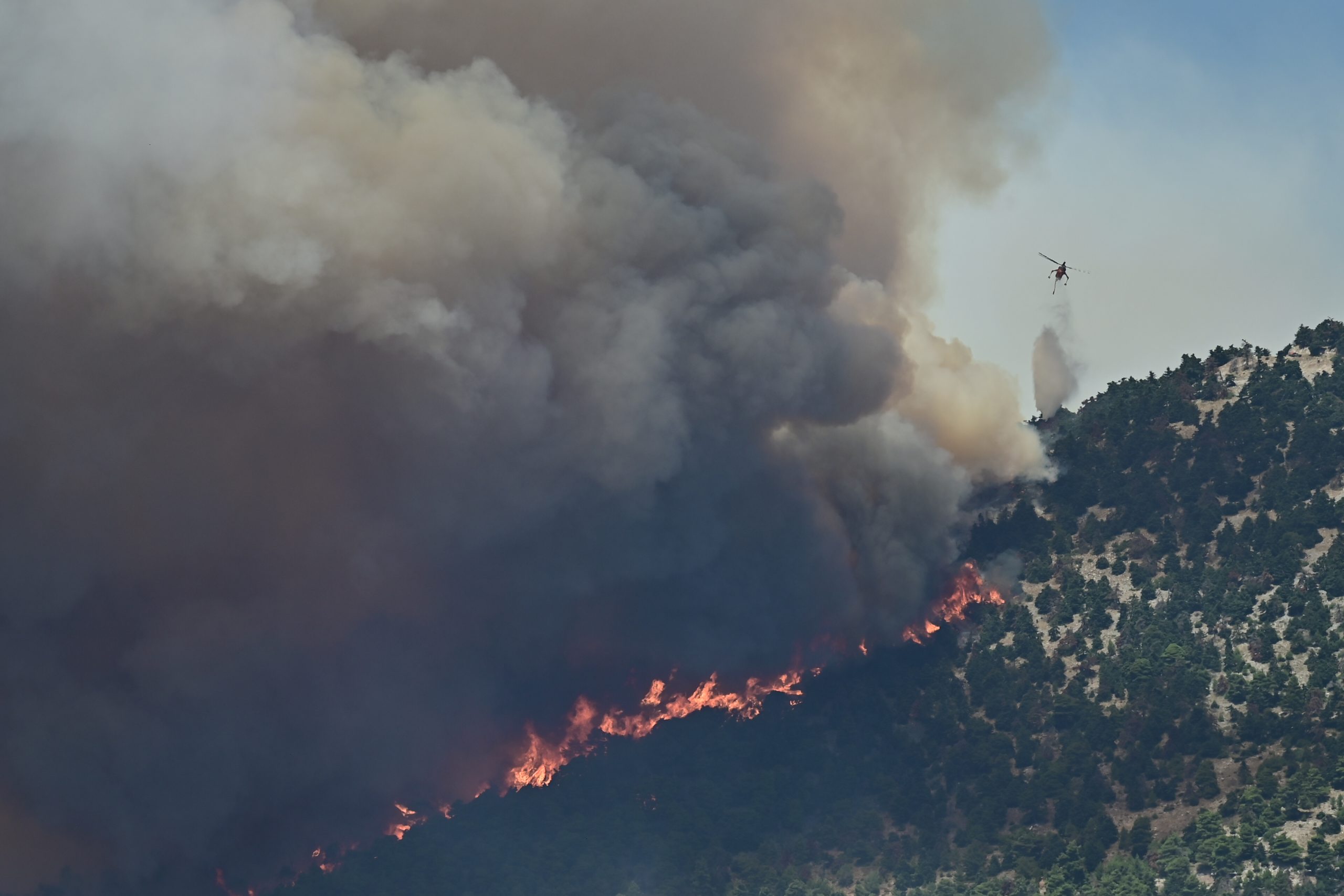 Δυτική Αττική: Πάνω από 480.000 στρέμματα έχουν καεί από το 2018