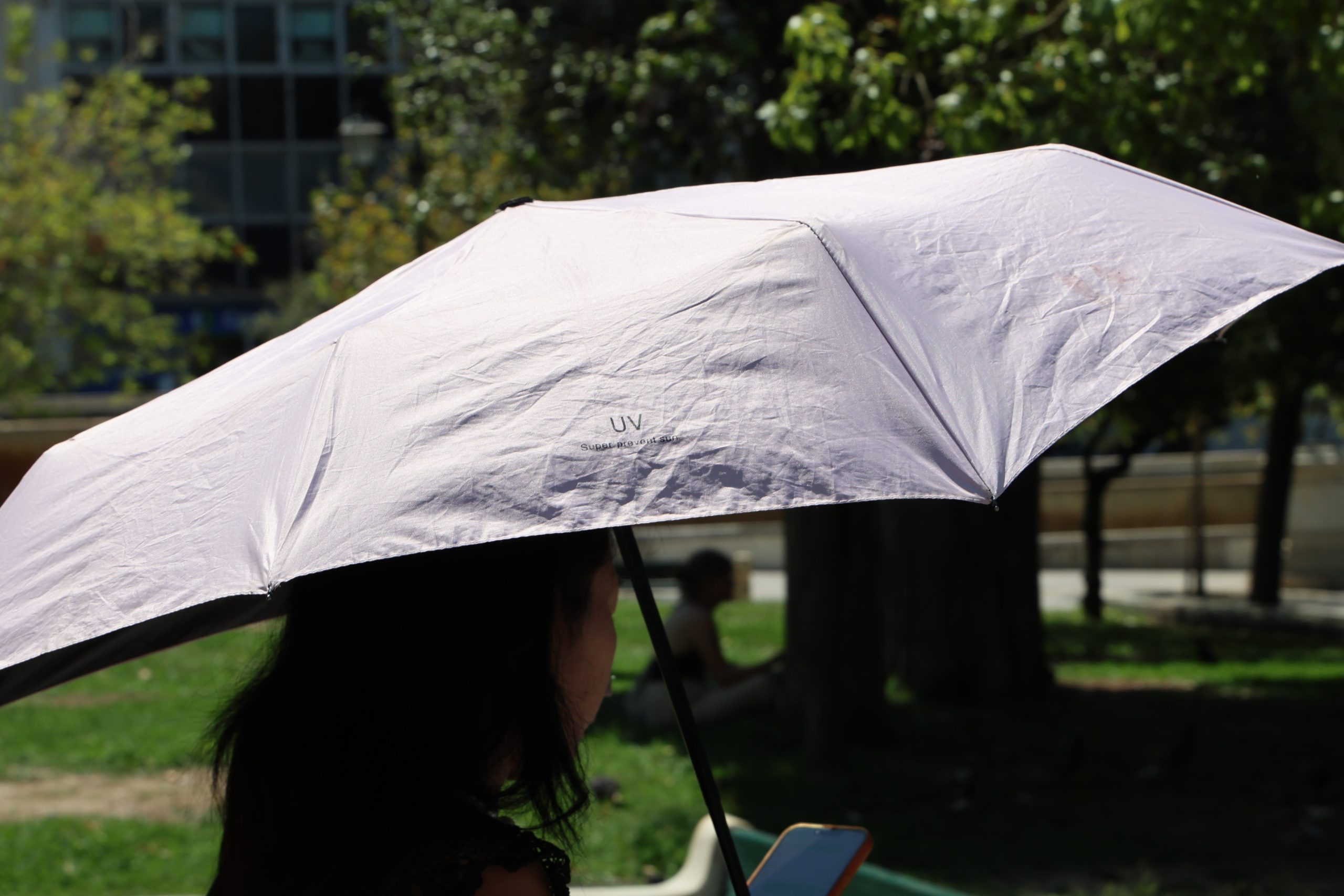 Καιρός: Έως 39°C τις επόμενες ημέρες – Πολύ υψηλός ο κίνδυνος πυρκαγιάς