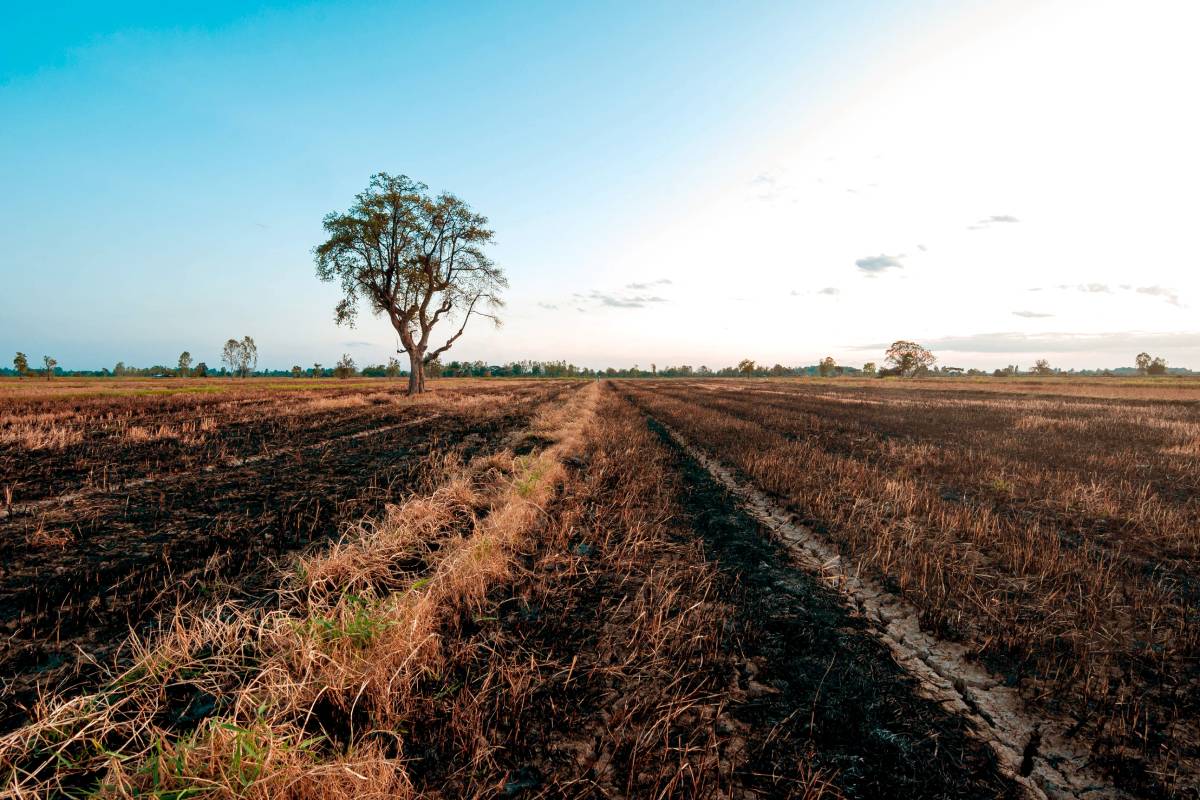 El Niño: Πώς απειλεί να φέρει νέα ενεργειακή πίεση στην Ευρώπη