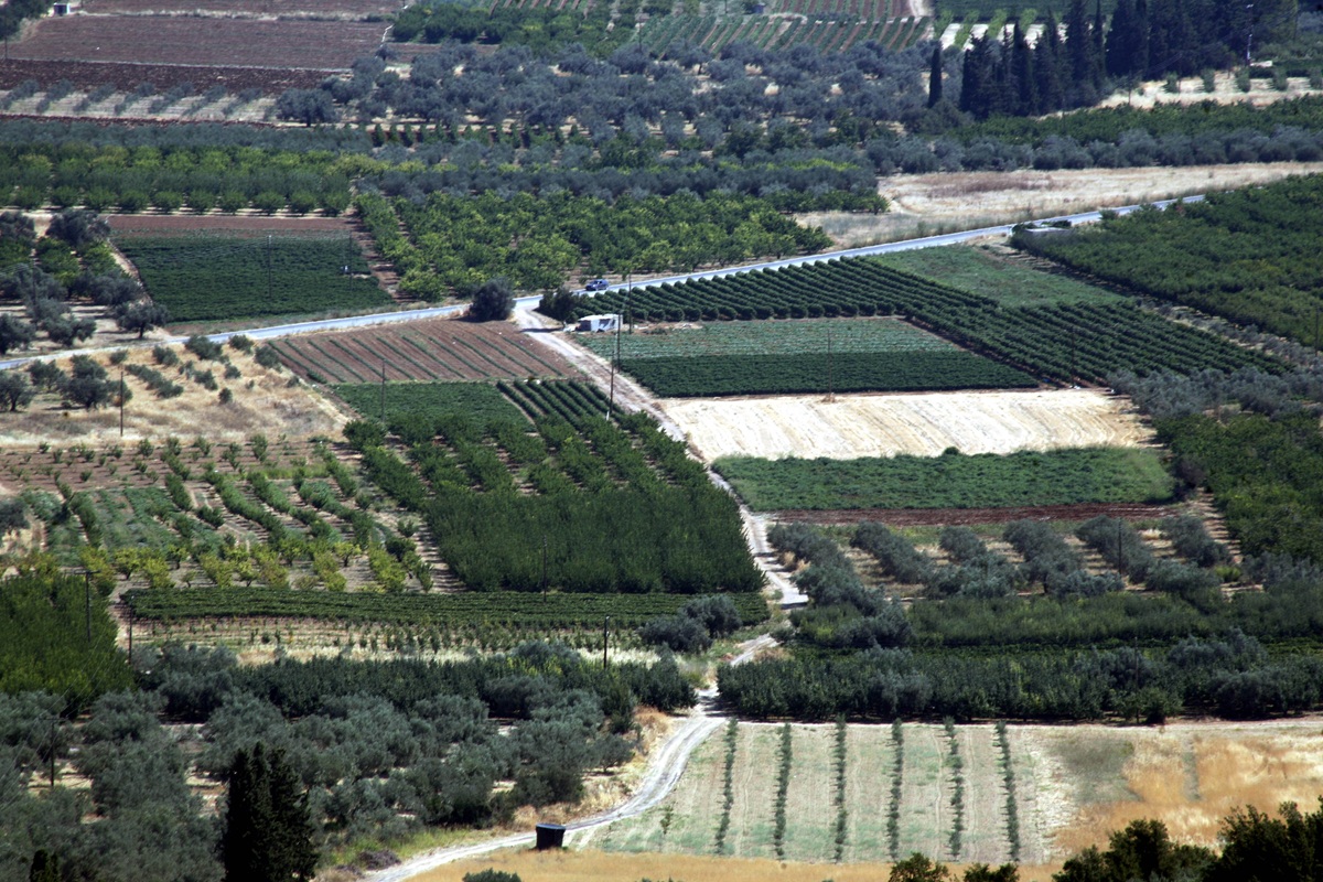 ΕΑΕ 2026: Τι ισχύει για μισθωτήρια, κληρονομιές και ΑΤΑΚ