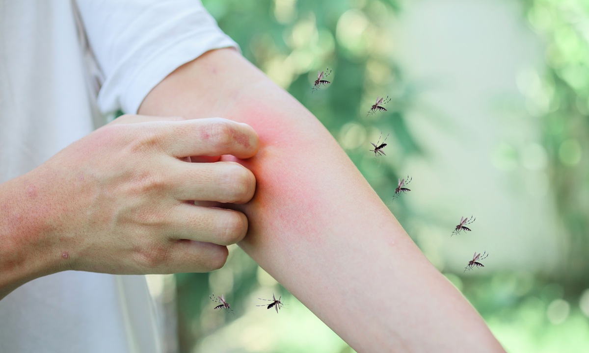 Ιός του Δυτικού Νείλου: Ο κίνδυνος συνεχίζεται τον Σεπτέμβριο – Τα μέτρα προστασίας